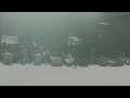 VICTOR AD LIVE PERFORMANCE OF WHY AT YAADADI 2019