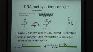 Dna methylation and bisulfite sequencing data analysis