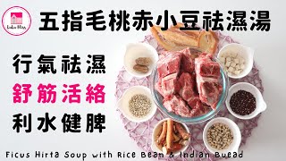 五指毛桃赤小豆祛濕湯【ENG】| 行氣祛濕| 舒筋活絡| 利水健脾| Ficus Hirta Soup with Rice Bean \u0026 Indian Buead | 去祛湯水| Le Creuset