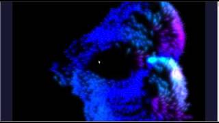 GPU Boids Flock Simulation