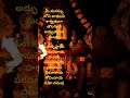 🙏ఓం కృష్ణాయ వాసుదేవాయ🙏@daivabhakti1 lordvenkateswara ttd hindudiety yt ytshorts ytshortsindia