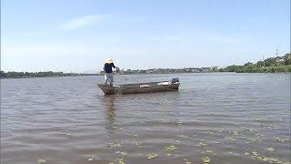 「潟の漁師」新潟市の中心部にある鳥屋野潟で続く昔ながらの漁