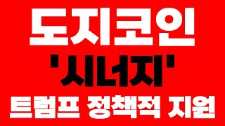 [도지코인 DOGE] 긴급속보 '시너지' 트럼프 정책적 지원 이제 이렇게 움직인다