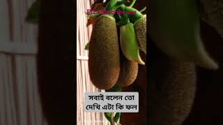 আর কয়েক মাস পরে খাবো😋😋😋😋😋😋😋😋😋😋😋😋😋😋😋😋😋😋