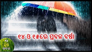 କୃଷି ଖବର । ସ୍ବାସ୍ଥ୍ୟ । ପାଣିପାଗ । Weather। Corona। BMC