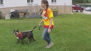 How walking a dog can earn money for your favorite animal shelter using the Wooftrax app