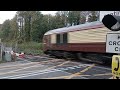 67007 and 67021 on the belmond pullman passes grove ferry crossing.