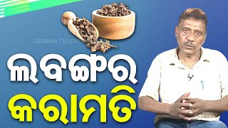 ବହୁ ଉପକାରୀ ଲବଙ୍ଗ