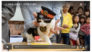 三毛猫「たま駅長」死ぬ　和歌山電鉄、２８日に社葬