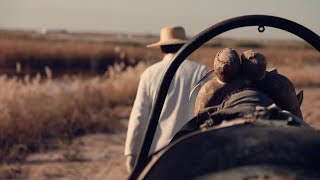 『吉吉映像』寧夏空拍影片