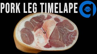 Pork Leg Time Lapse - Rotting Time Lapse
