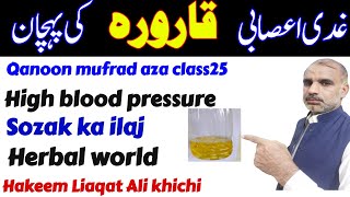 Sozak Ka Ilaj - High Blood Pressure - Qanoon Mufrad Aza