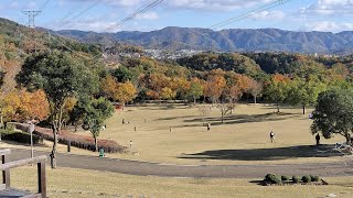 215.秋の【兵庫県立一庫公園】川西市 整備された散策路に大きな芝生広場、程良い登山道などワンちゃんに嬉しい素敵な公園✨ 秋の景色は最高です😊 下に一庫ダムがあります🌈