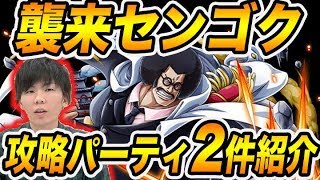 【トレクル 】襲来センゴクをW(ダブル)キャラで攻略！【OPTC】