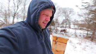 Checking bees in the Minnesota February Winter and giving you an update on how my hives are looking