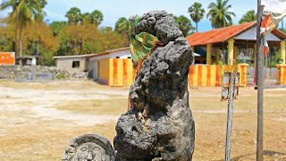 Delft Island Growing Rock நெடுந்தீவு வளரும் பாறை