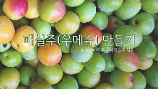 우메슈 만드는 법? 어렵지 않아요! l 매실주 만들기