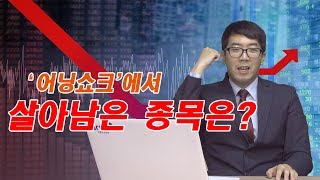 [특급주식] '어닝쇼크'에서 살아남은 종목은? (송범선 전문가)