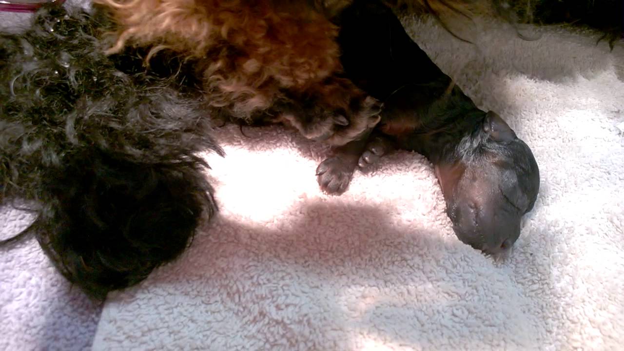 Wp 20150729 0101 Youtube