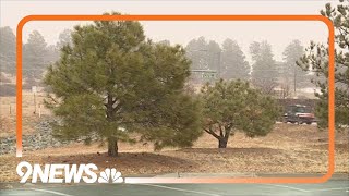 Weather data gathered by citizens helps improve forecast models