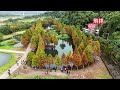 大溪河濱公園，月眉人工溼地