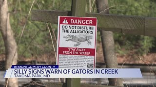 Charges pending after alligator signs pop up in Takoma Park, police say