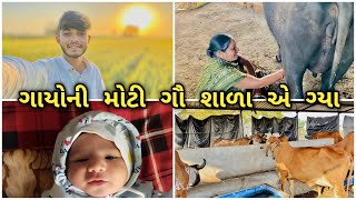 પીપળીયા ગાયુંના મોટા તબેલે ગયા - બેનને ત્યા દિકરાનો જન્મ || Gujarati family vlogs || @SDAayar