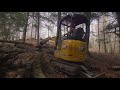 turning a fallen tree into a mountain bike feature 😮