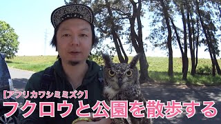 フクロウと公園を散歩する【アフリカワシミミズク】African Eagle Owl