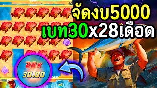 สล็อตแตกง่าย สล็อตpg : สล็อตpg Shark Bounty เดือดเบท30 แตกx28 อย่างเดือด