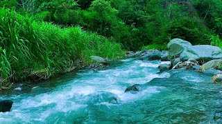 TRANQUIL RIVER WAVES 🌊 | SOOTHING WATER SOUNDS FOR RELAXATION AND WELLNESS