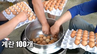 계란 100개 삶아서 먹는데 까지...[Eating boiled eggs]