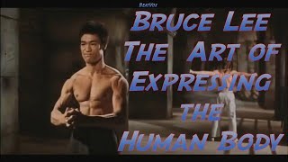 Bruce Lee 🌟 The Art of Expressing The Human Body 🏃🏾‍ Best Fight Highlights Motivation Music Video 🎶📹