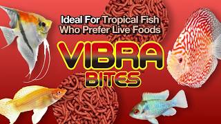 Hikari Tropical Vibra Bites【KYORIN,HIKARI,Tropicalfish Diets】