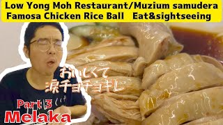 [Malaysia]malaccaⅢ 点心食べて 例の船の博物館に行って、チキンライスを食べた Eat dim sum, Big ship museum＆Eat chicken rice #vlog