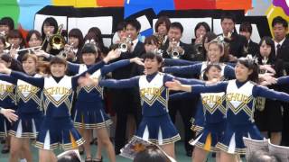 2015年中央大学白門祭　応援団チアリーディング　チューリップ