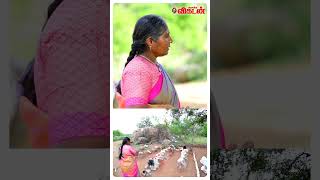 Veerappan Wife Muthu Lakshmi Request To Tamil Nadu Government #shorts