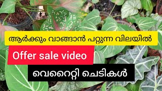 വീട്ടില്‍ വളര്‍ത്തിയ ചെടികള്‍ വേണോ??