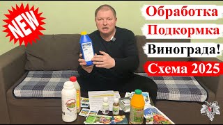 Схема ОБРАБОТКИ и ПОДКОРМКИ Винограда! СЕЗОН 2025