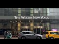 best hotels in new york city near times square tour and reviews