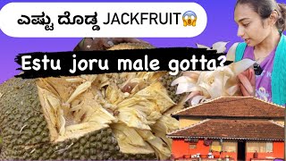 ಎಷ್ಟು ದೊಡ್ಡ Jackfruit😱| Estu joru Male…. | Nanna village Life|#like #inshot #automobile #indianmusic