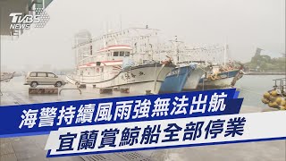 海警持續風雨強無法出航 宜蘭賞鯨船全部停業｜TVBS新聞