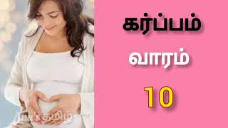 கர்ப்பம் வாரம் 10 | 10 வாரம் கர்ப்பம் | 10th week pregnancy symptoms in tamil | karpam varam 10 |