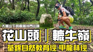 花山頭 轆牛嶺［香港郊遊行山好去處]4K  易行山徑上的冷門山峰 ｜高樹蔭荃錦自然教育徑 甲龍林徑｜5公里路程可難可易｜一條可以跑住落山既操練路線｜唔係隱世密境落車行幾百米就kill標荃灣行山路線