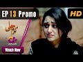 Pakistani Drama| Karam Jali - EP 13 Promo | Aplus | Daniya, Humayun Ashraf | C3N1