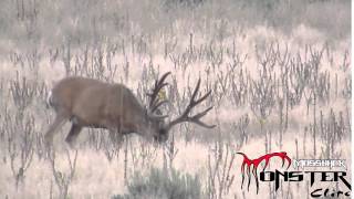 MossBack Monster Clips - Mule Deer Buck with Cheaters