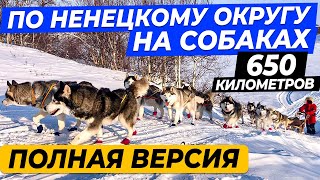 650 км на собаках по Ненецкому округу \ Нарьян-Мар \ Индига \ Полная версия