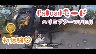 【PUBGモバイル】Payloadモードシリーズ第1弾⠉̮⃝︎︎～初体験編～