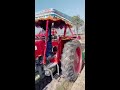 massey millet 585 tractor in potato field