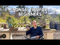 Bonsai Tips for Beginners, Watering, Soil Mix, & Other Techniques | Q&A